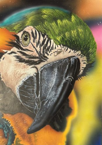 Parrot