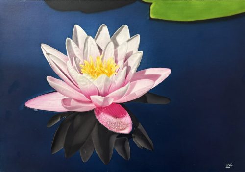 Seerose